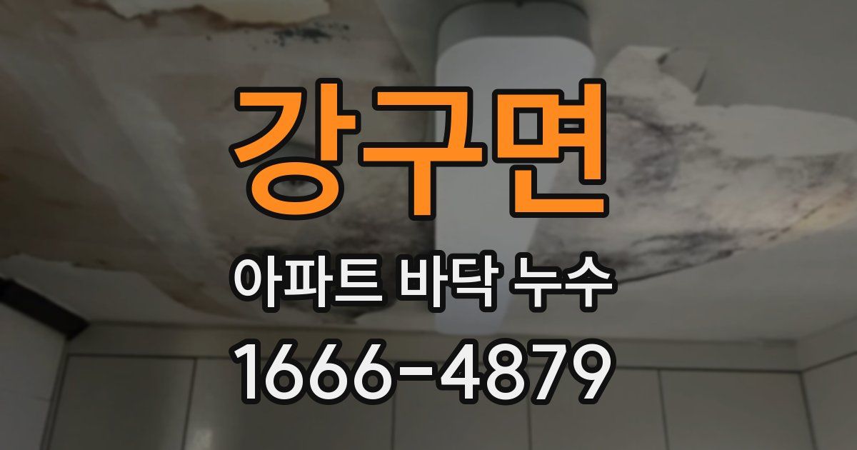 강구면 아파트 바닥 누수