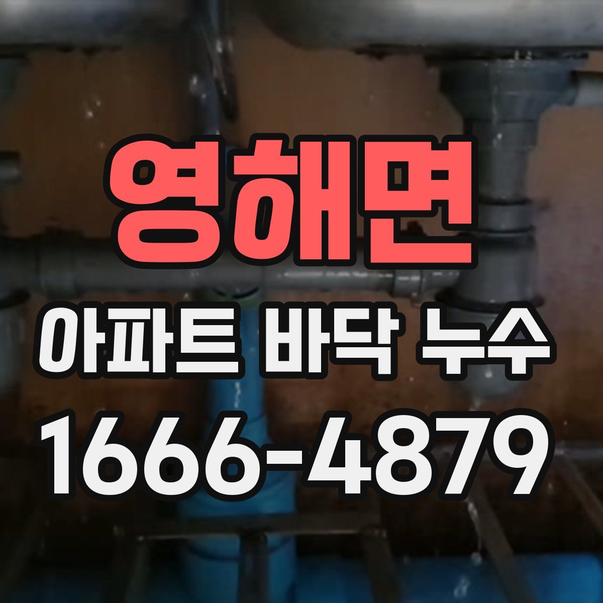 영해면 아파트 바닥 누수