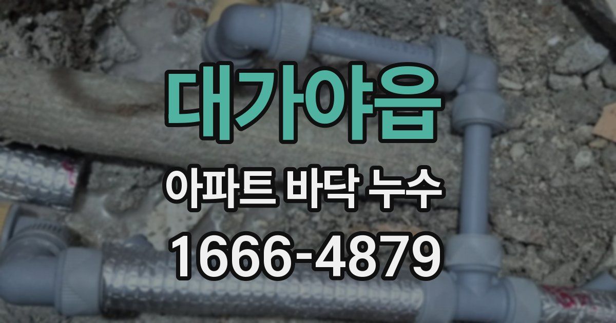 대가야읍 아파트 바닥 누수