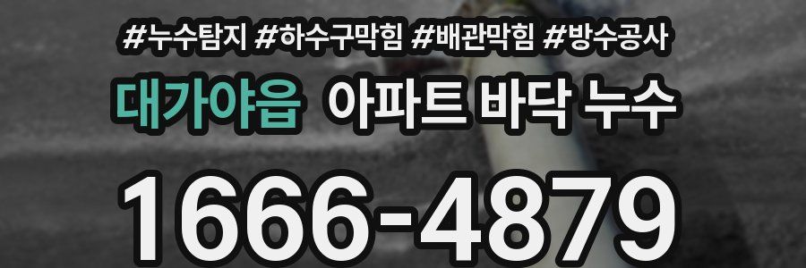 대가야읍 아파트 바닥 누수