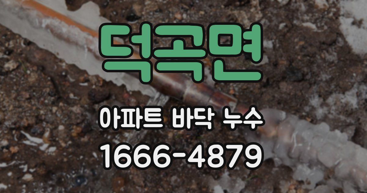 덕곡면 아파트 바닥 누수