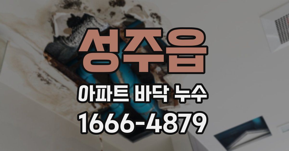 성주읍 아파트 바닥 누수