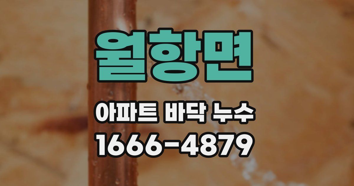 월항면 아파트 바닥 누수