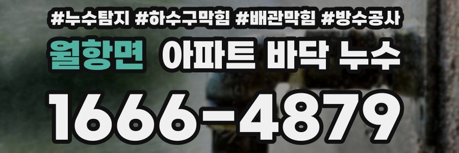 월항면 아파트 바닥 누수