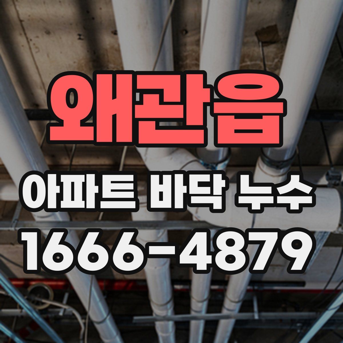왜관읍 아파트 바닥 누수
