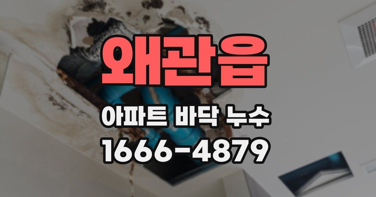 왜관읍 아파트 바닥 누수