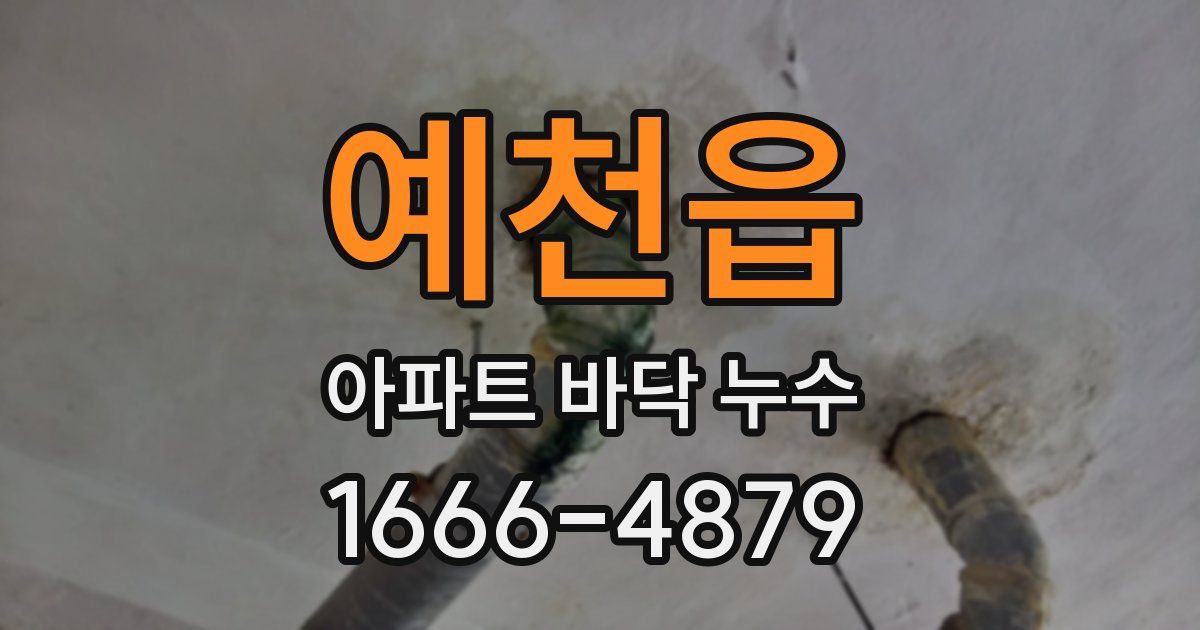 예천읍 아파트 바닥 누수