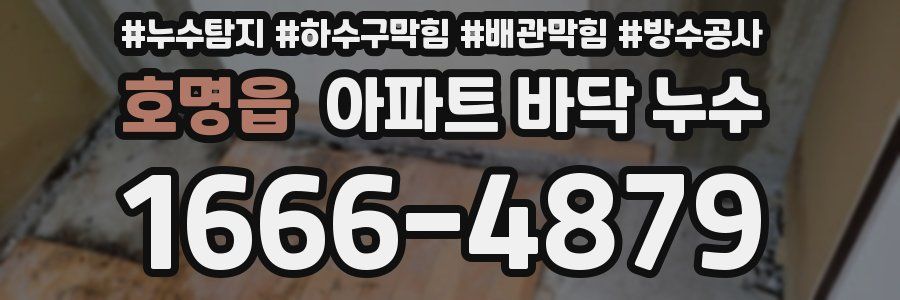 호명읍 아파트 바닥 누수