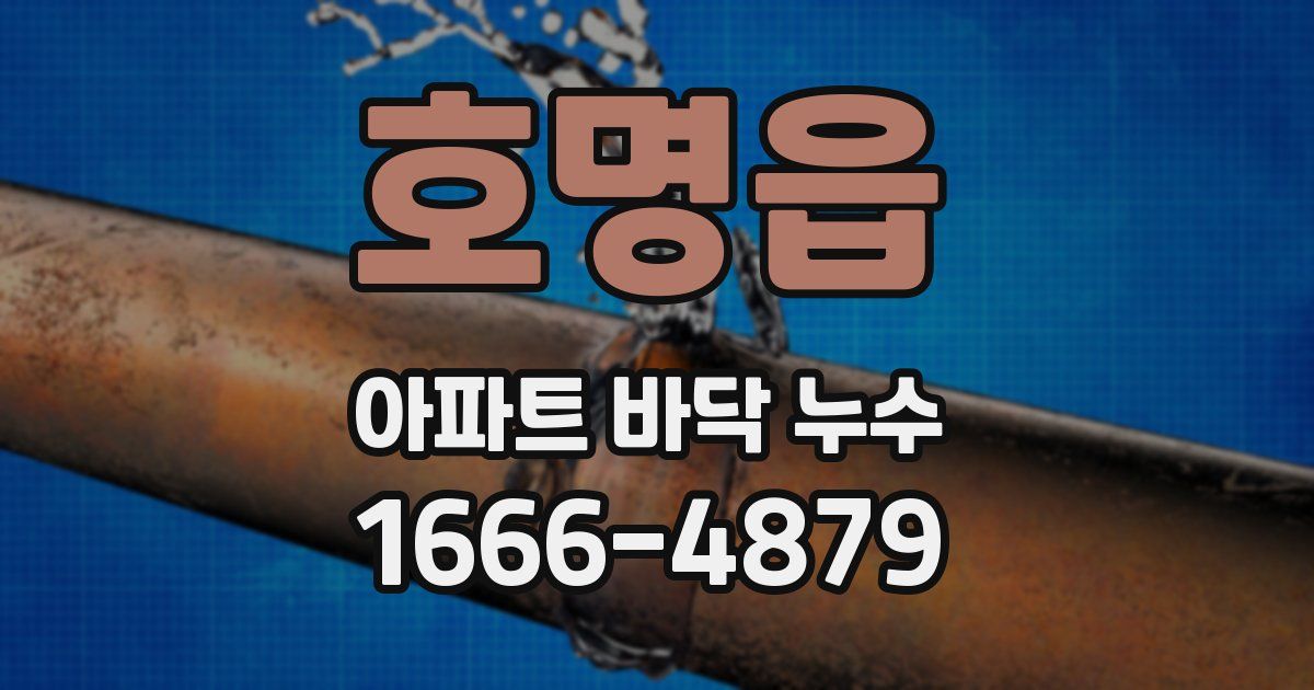 호명읍 아파트 바닥 누수