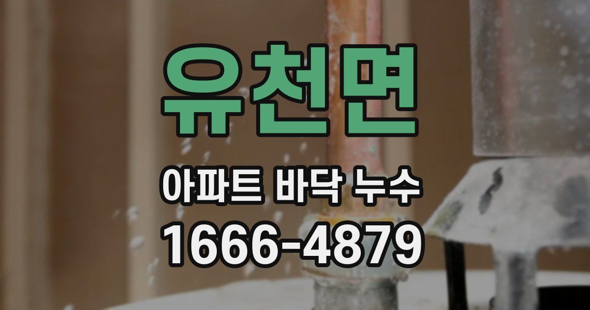 유천면 아파트 바닥 누수