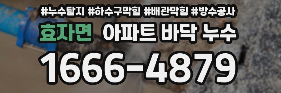 효자면 아파트 바닥 누수