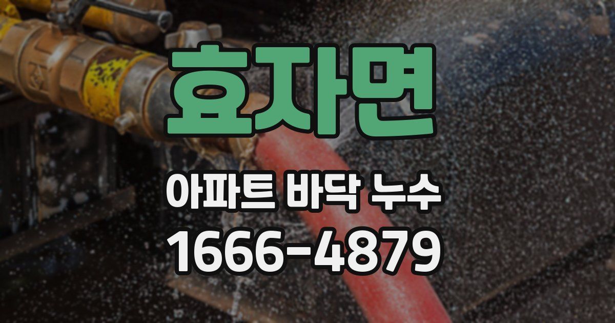 효자면 아파트 바닥 누수