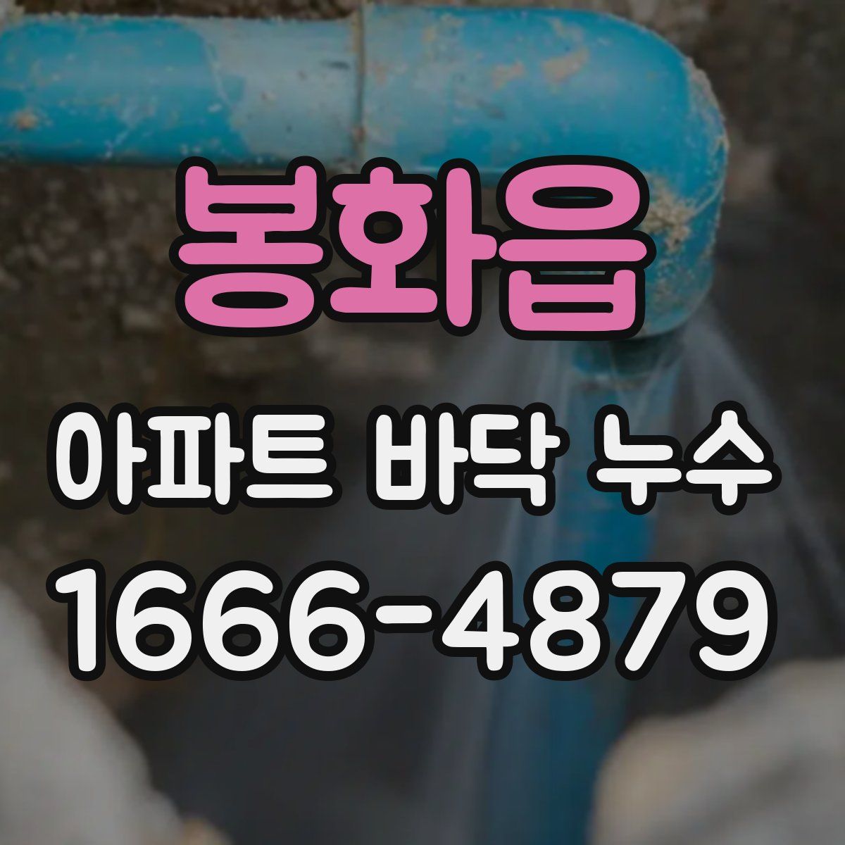 봉화읍 아파트 바닥 누수