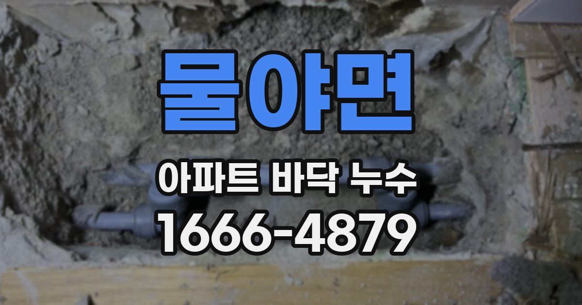 물야면 아파트 바닥 누수