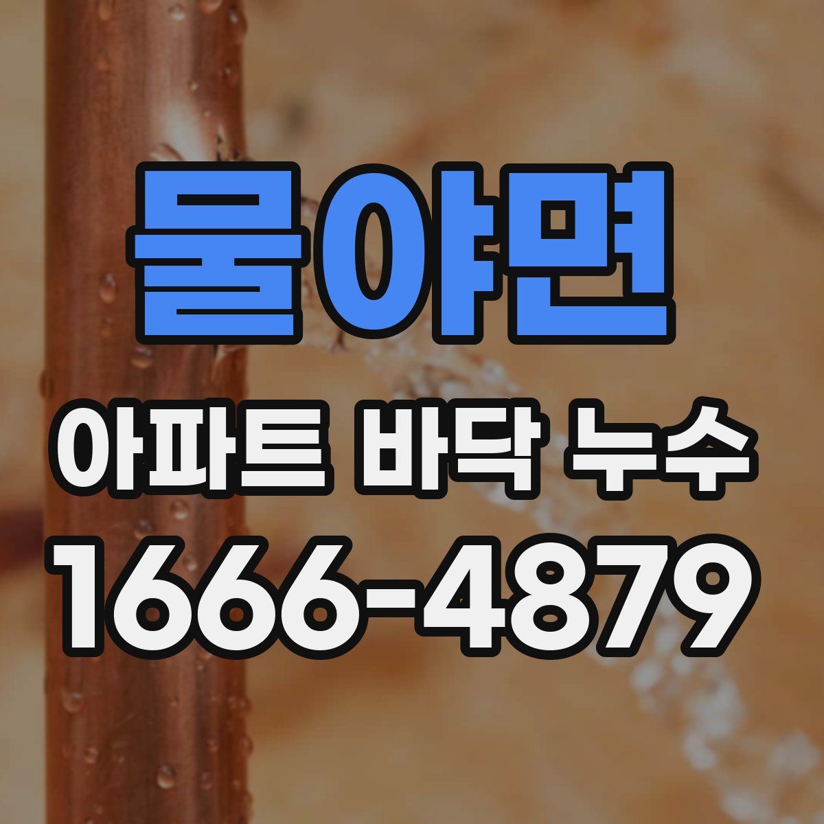 물야면 아파트 바닥 누수