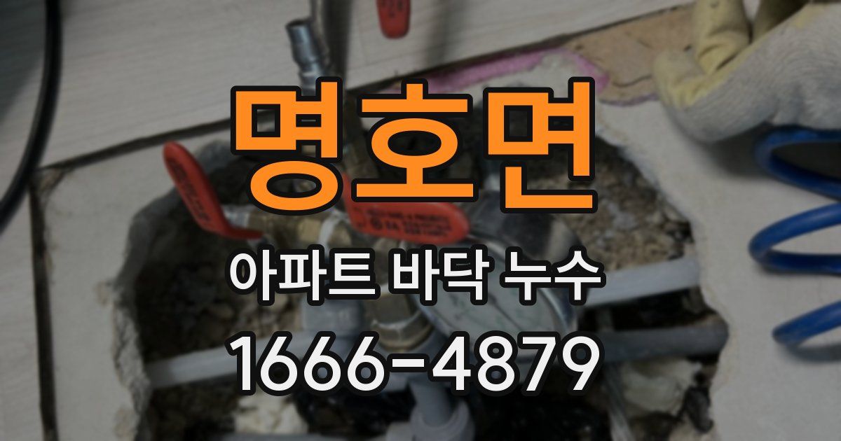 명호면 아파트 바닥 누수