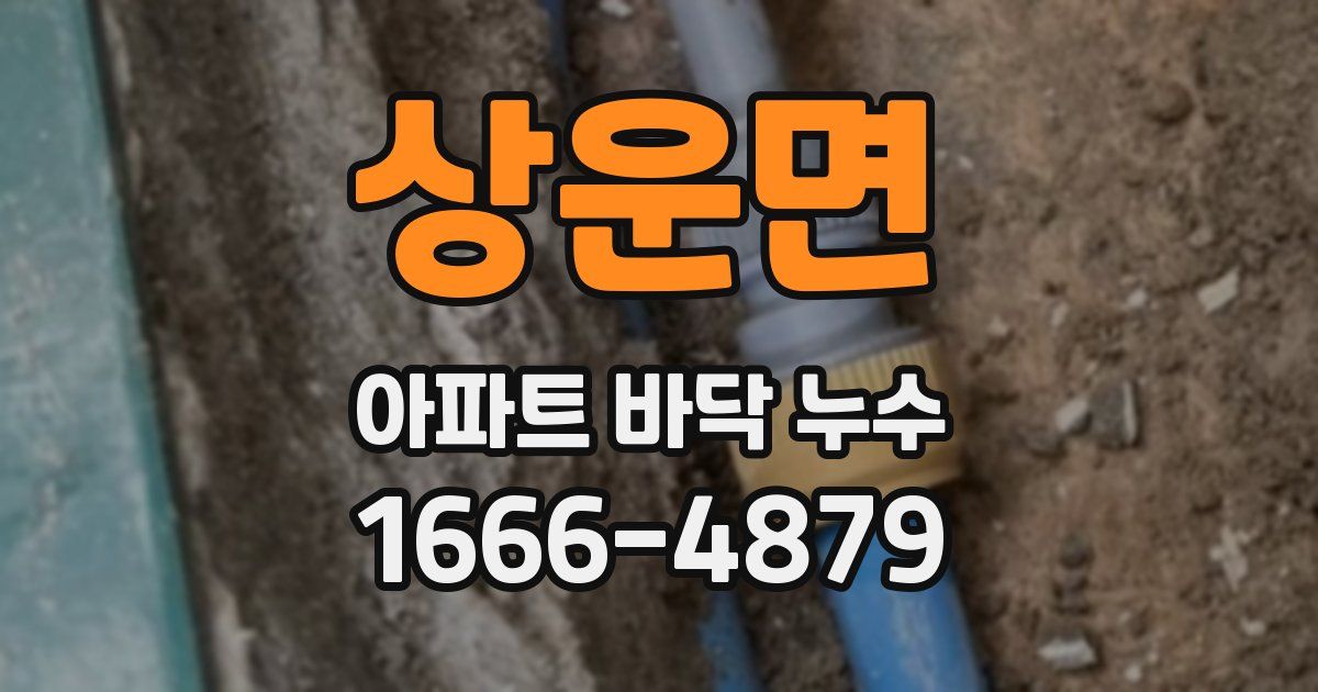 상운면 아파트 바닥 누수