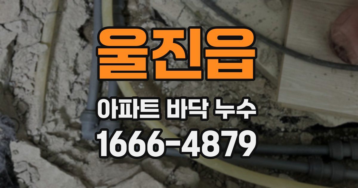 울진읍 아파트 바닥 누수