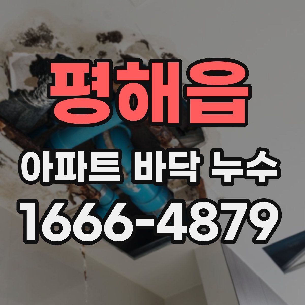 평해읍 아파트 바닥 누수