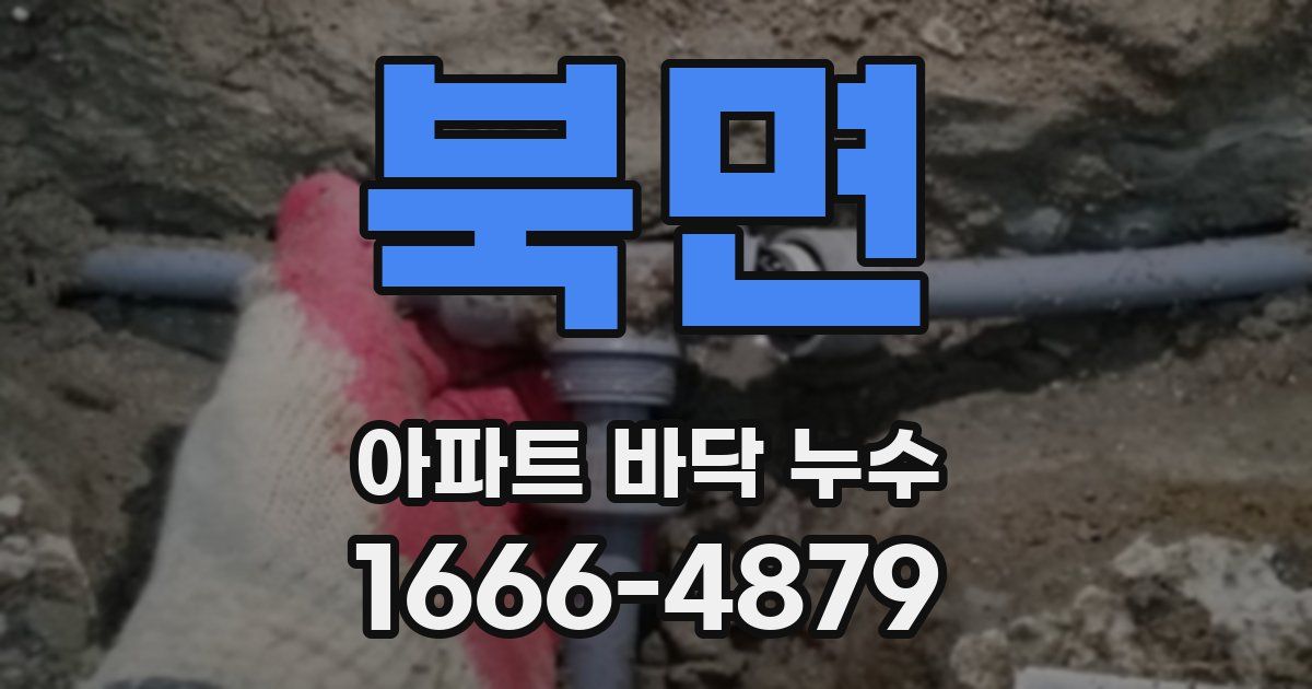 북면 아파트 바닥 누수