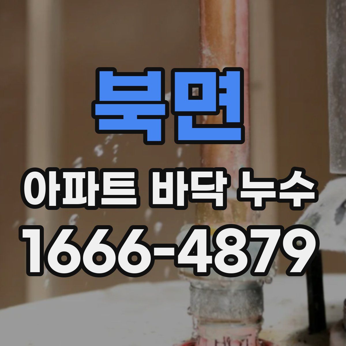 북면 아파트 바닥 누수