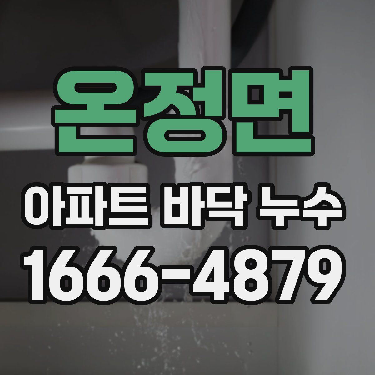 온정면 아파트 바닥 누수