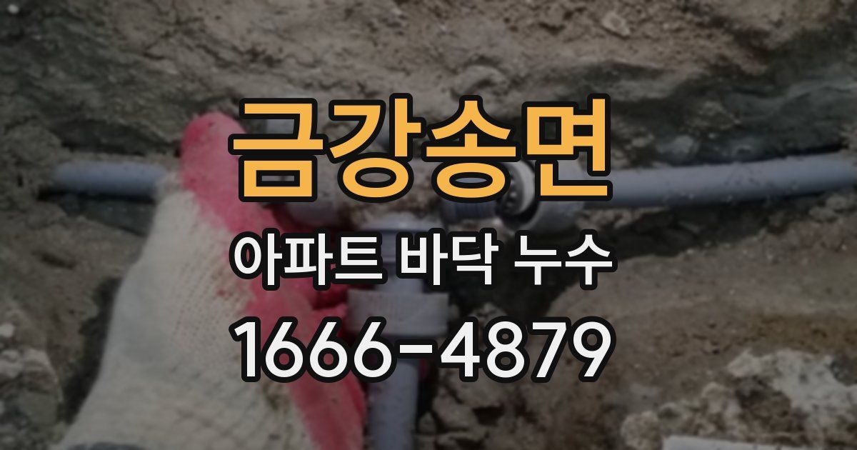 금강송면 아파트 바닥 누수