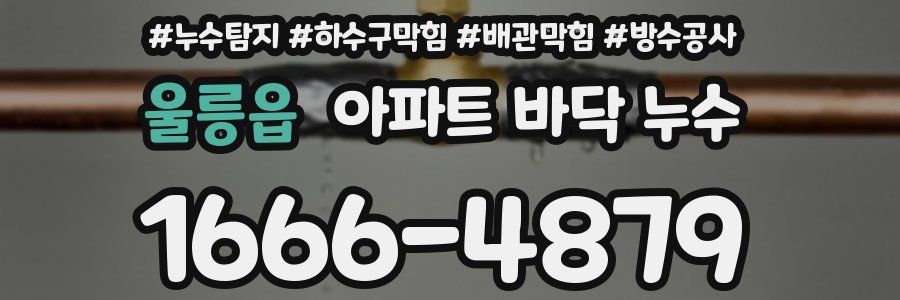 울릉읍 아파트 바닥 누수