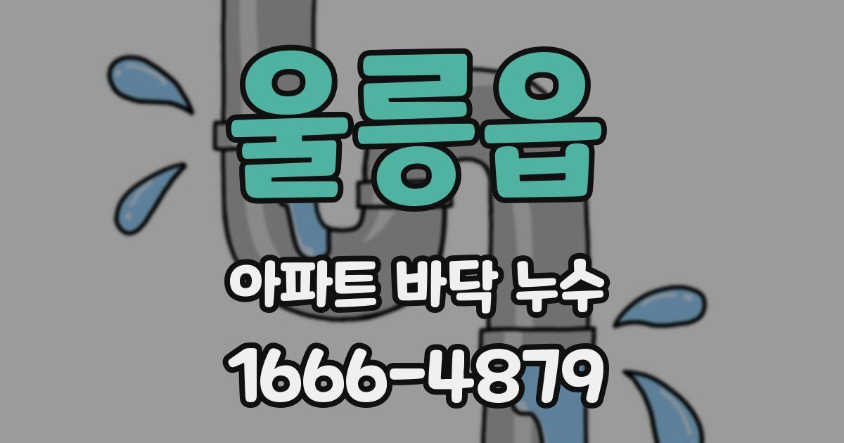 울릉읍 아파트 바닥 누수