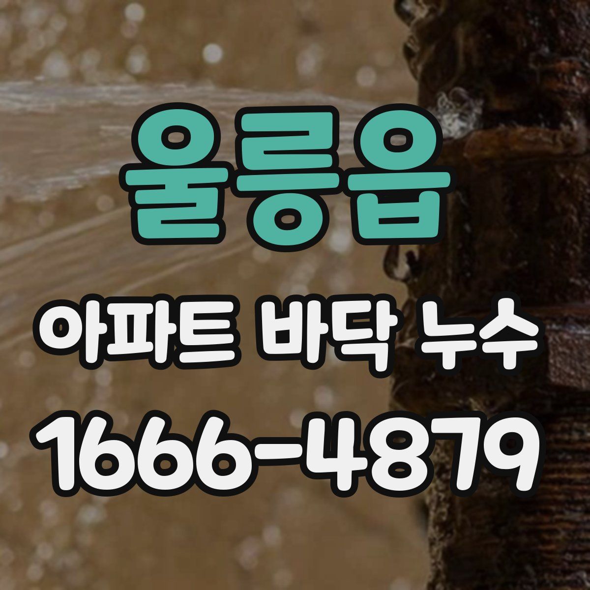 울릉읍 아파트 바닥 누수