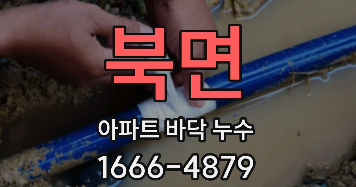 북면 아파트 바닥 누수