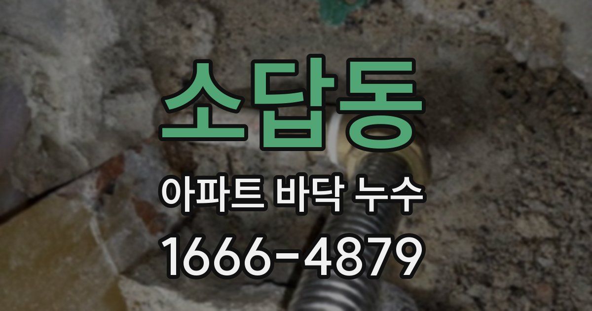 소답동 아파트 바닥 누수