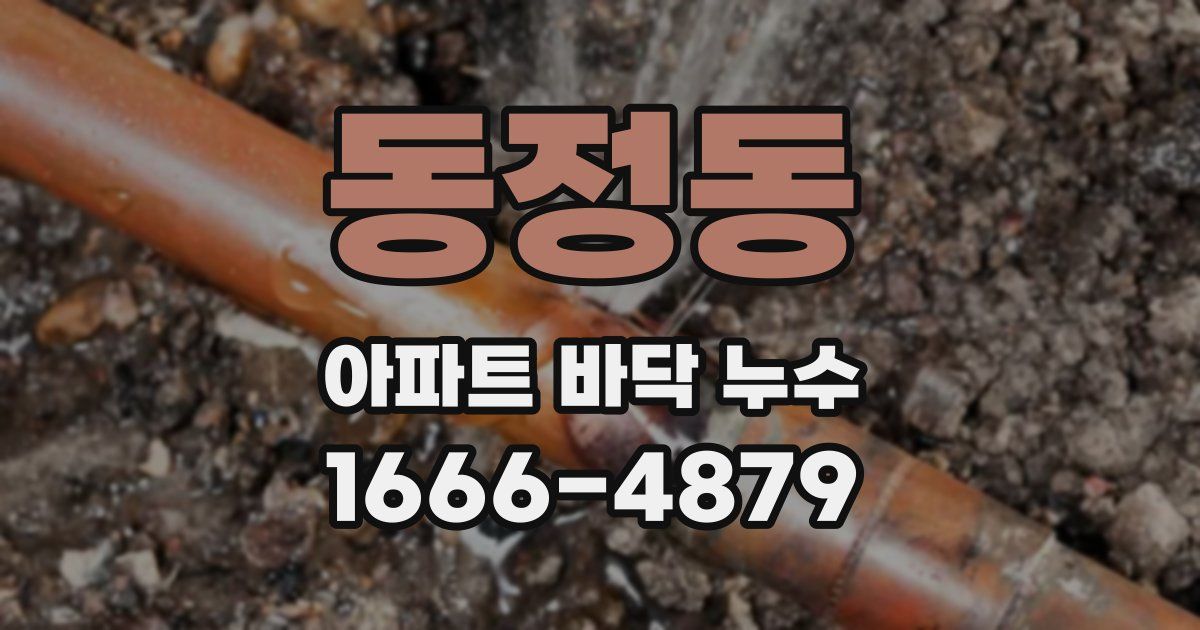 동정동 아파트 바닥 누수