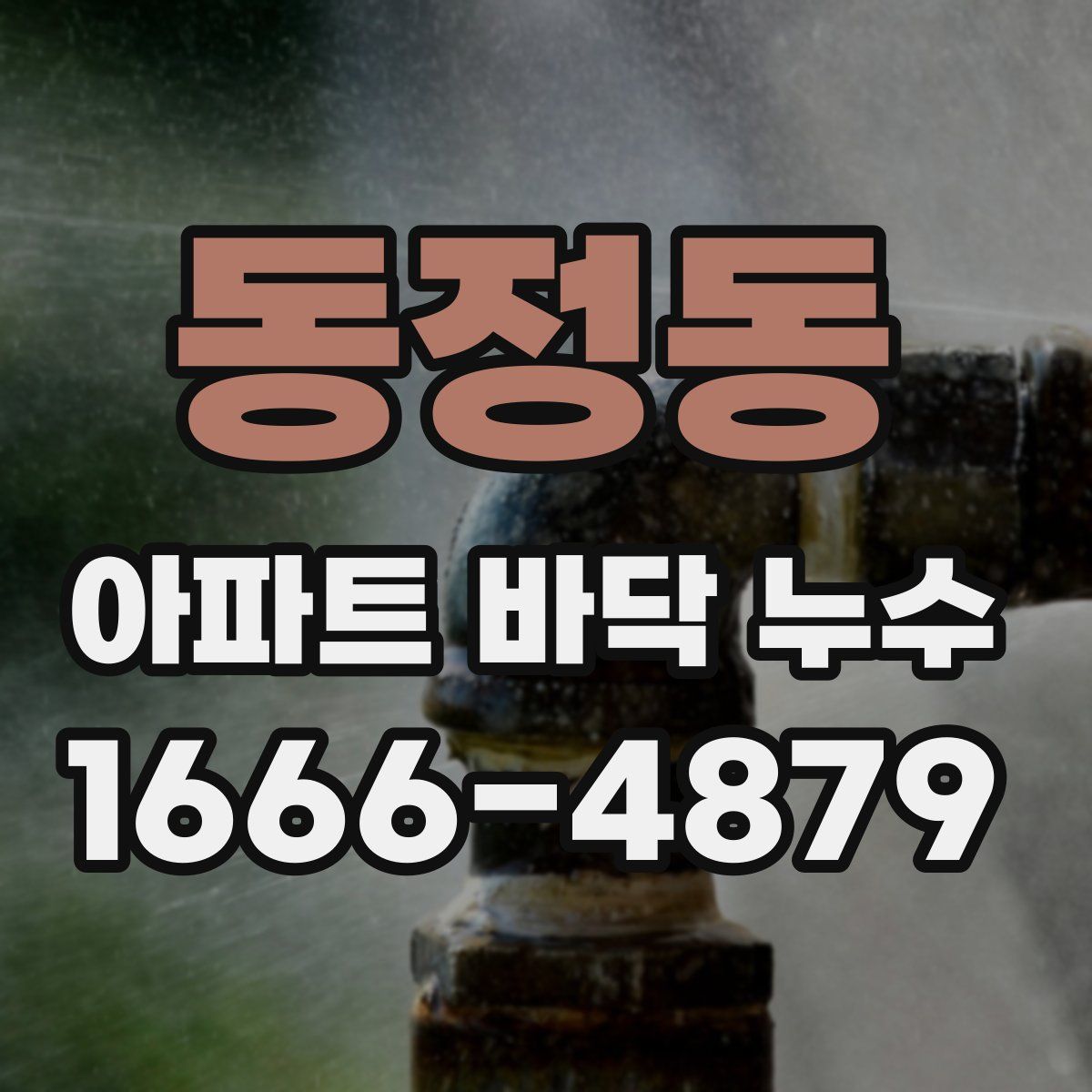 동정동 아파트 바닥 누수