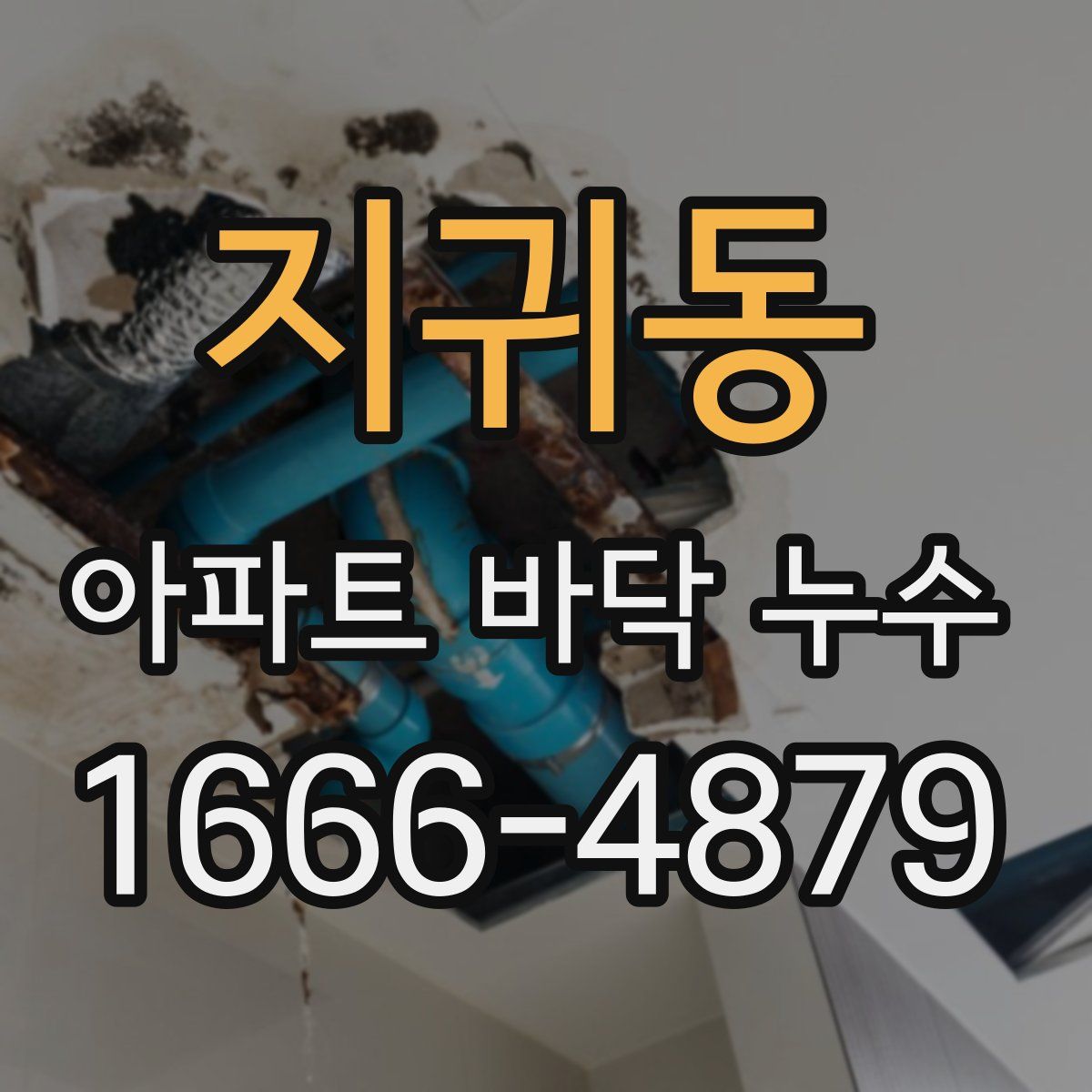 지귀동 아파트 바닥 누수