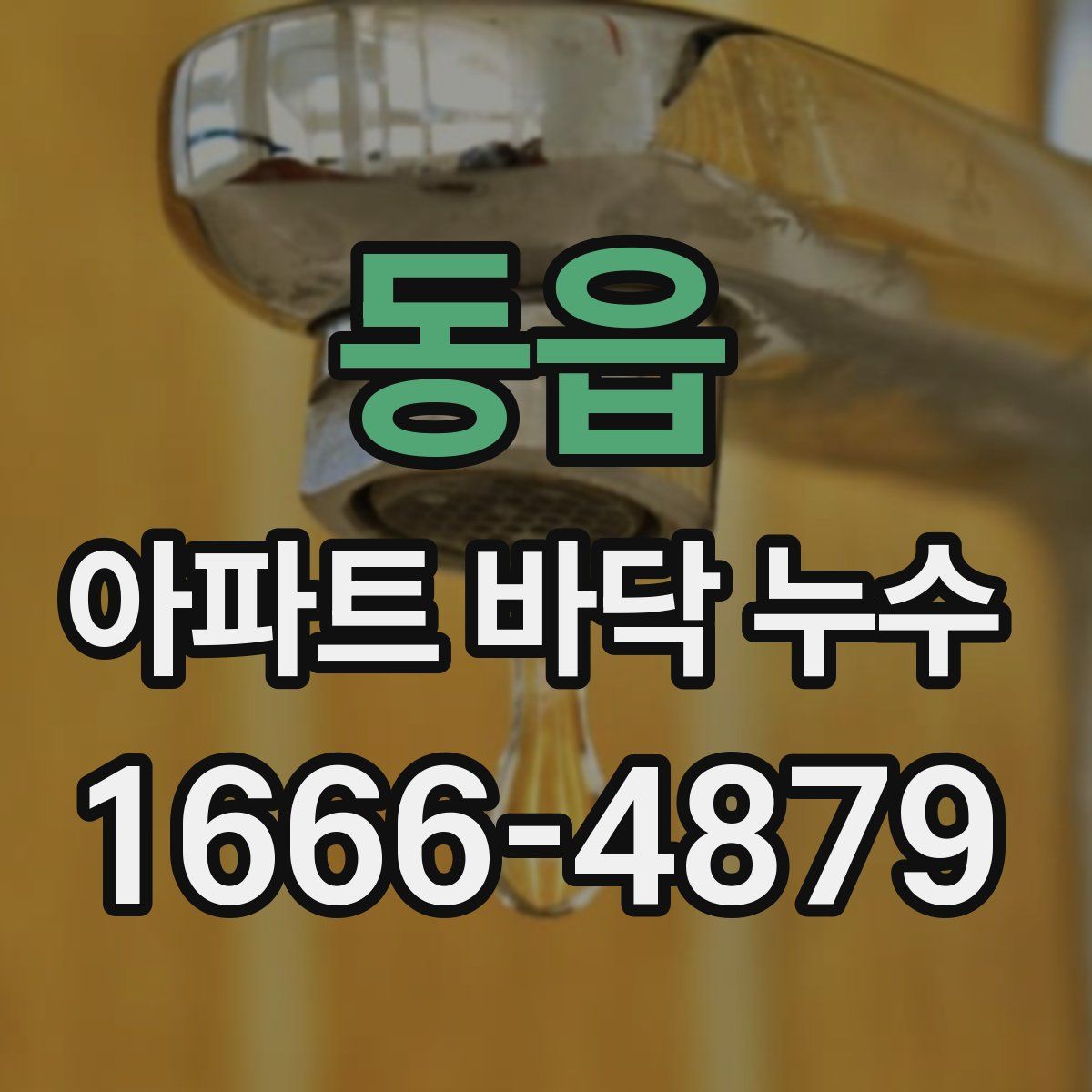 동읍 아파트 바닥 누수