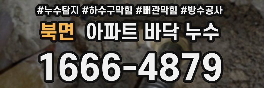 북면 아파트 바닥 누수