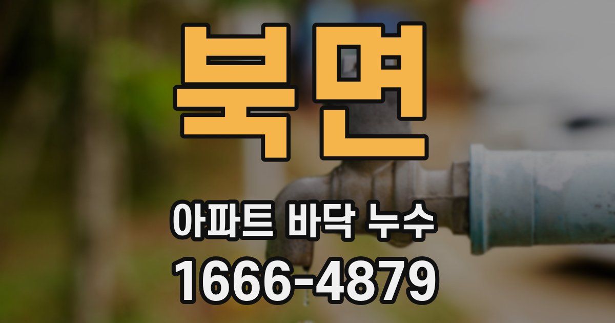 북면 아파트 바닥 누수