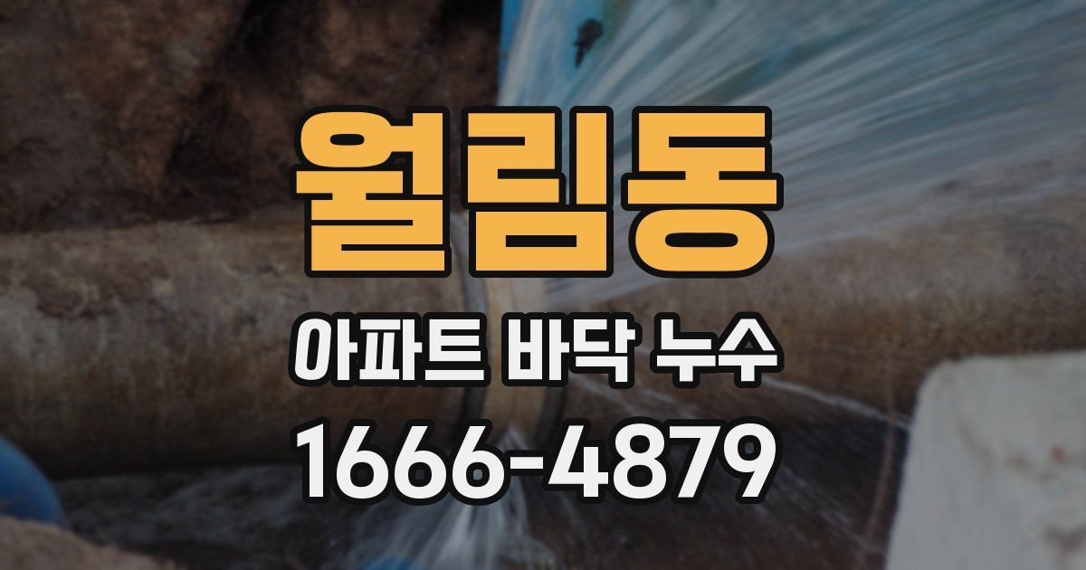 월림동 아파트 바닥 누수