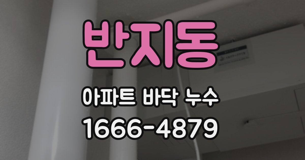 반지동 아파트 바닥 누수