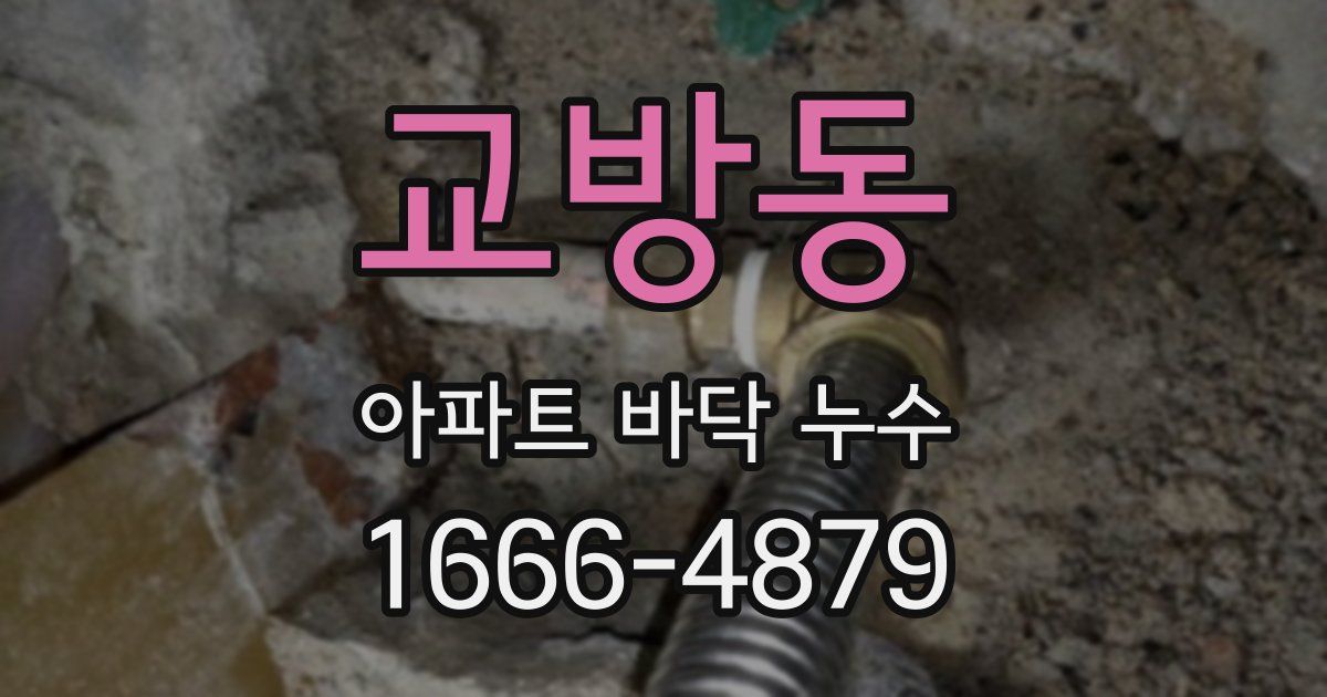교방동 아파트 바닥 누수