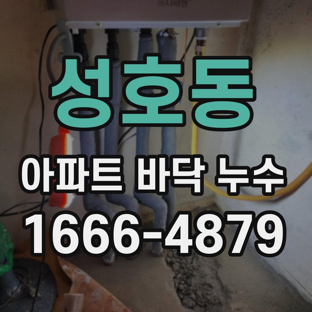 성호동 아파트 바닥 누수