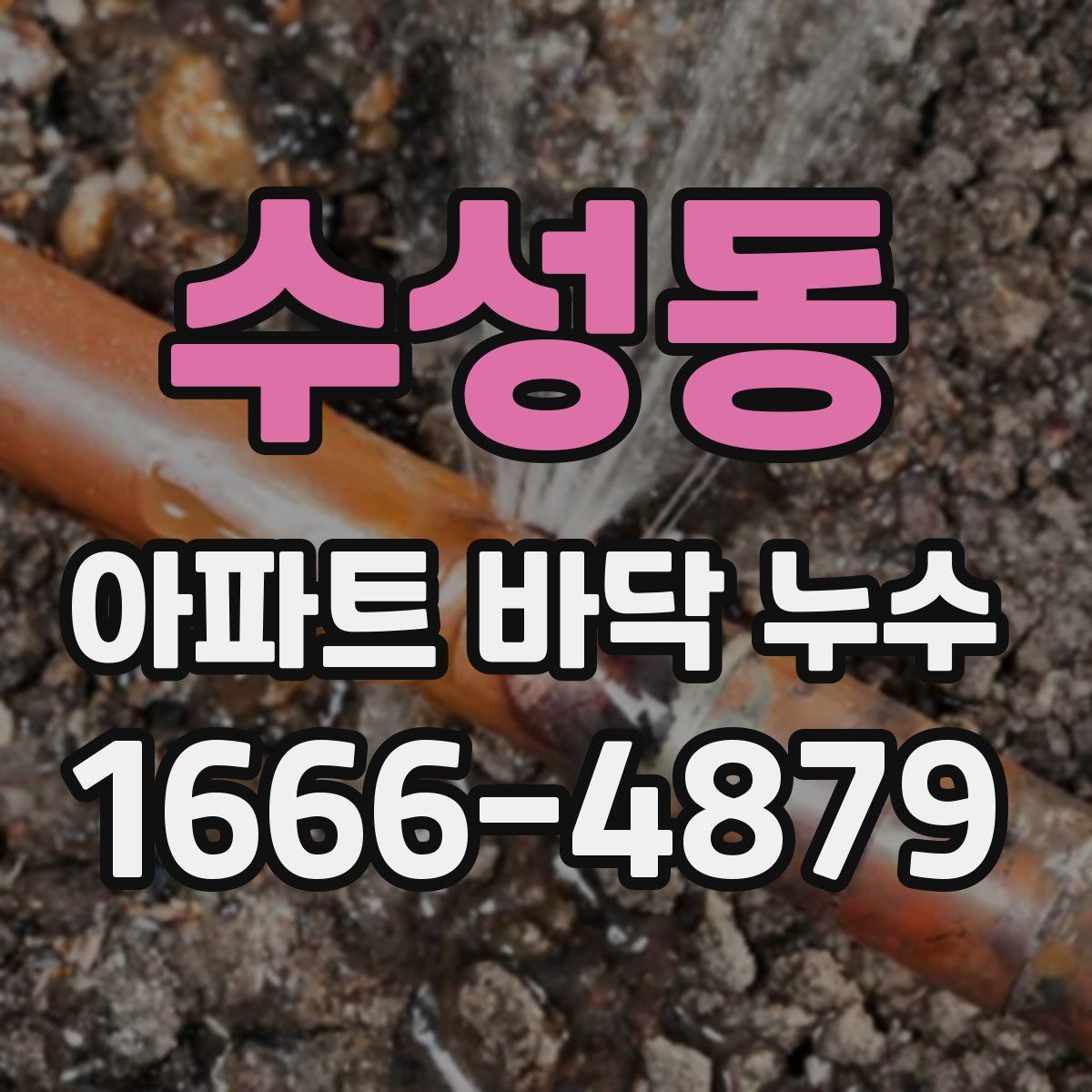 수성동 아파트 바닥 누수