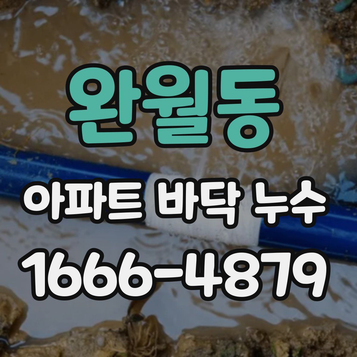 완월동 아파트 바닥 누수