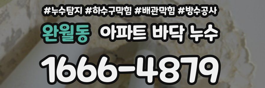 완월동 아파트 바닥 누수