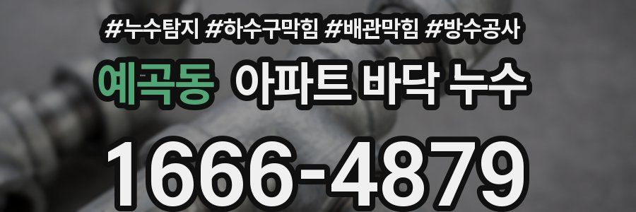 예곡동 아파트 바닥 누수