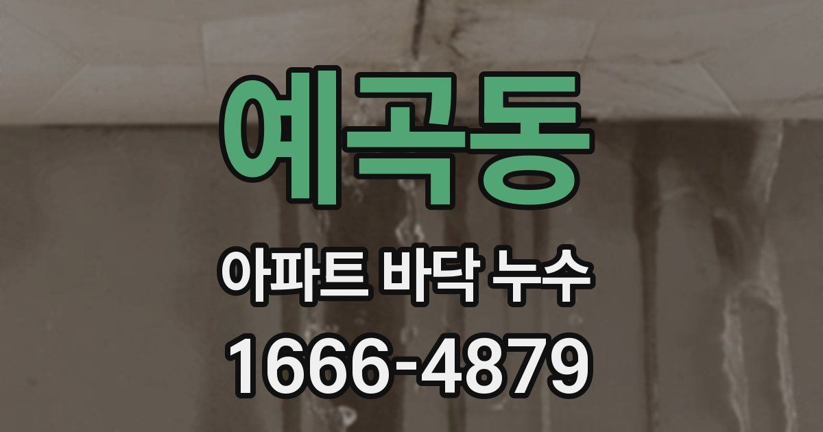 예곡동 아파트 바닥 누수