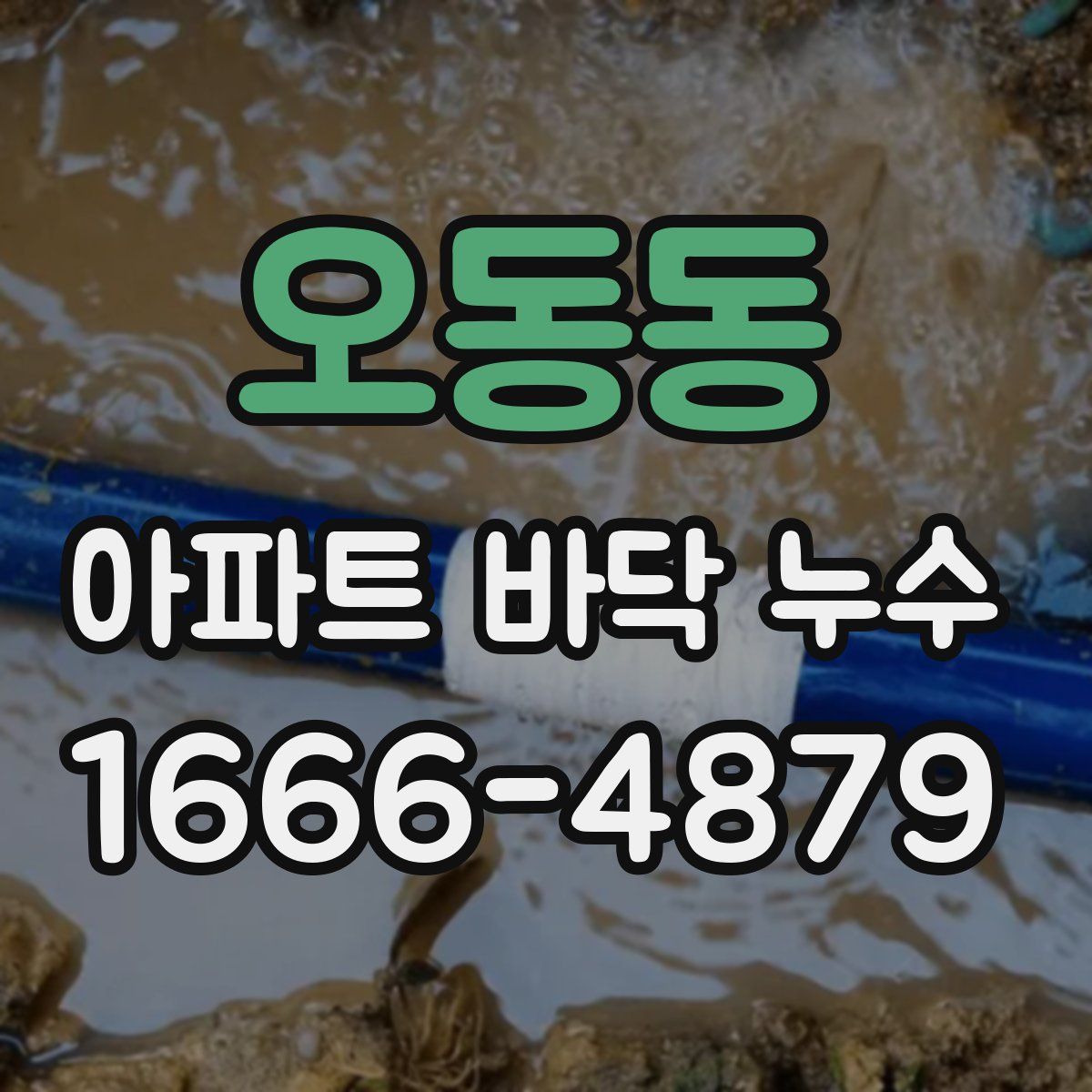 오동동 아파트 바닥 누수