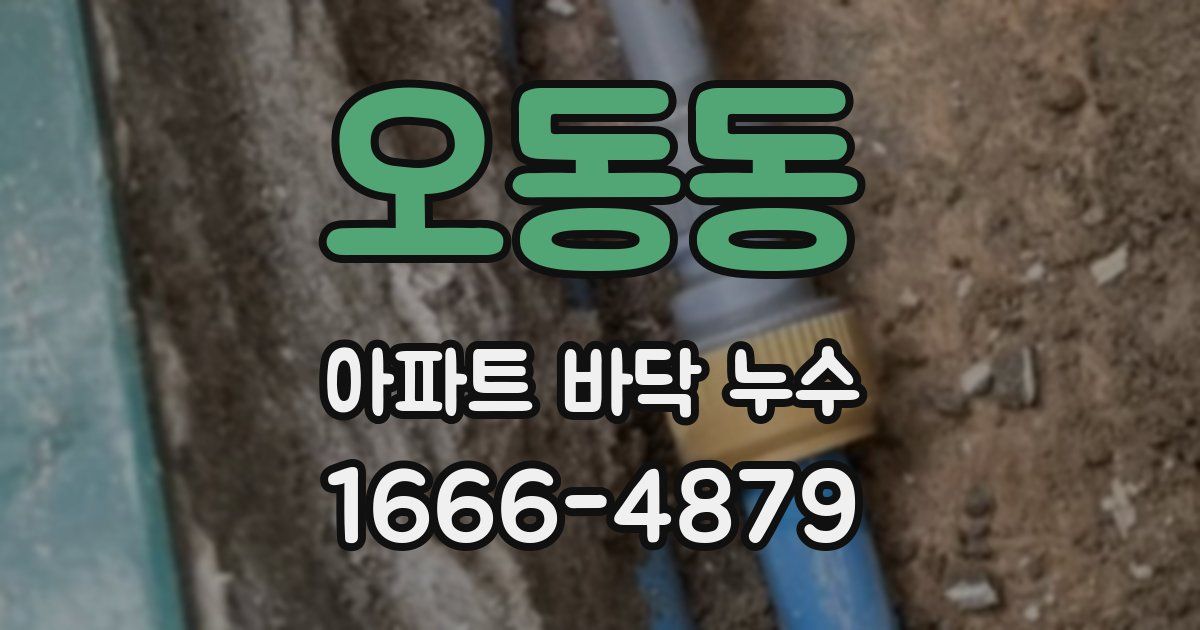 오동동 아파트 바닥 누수