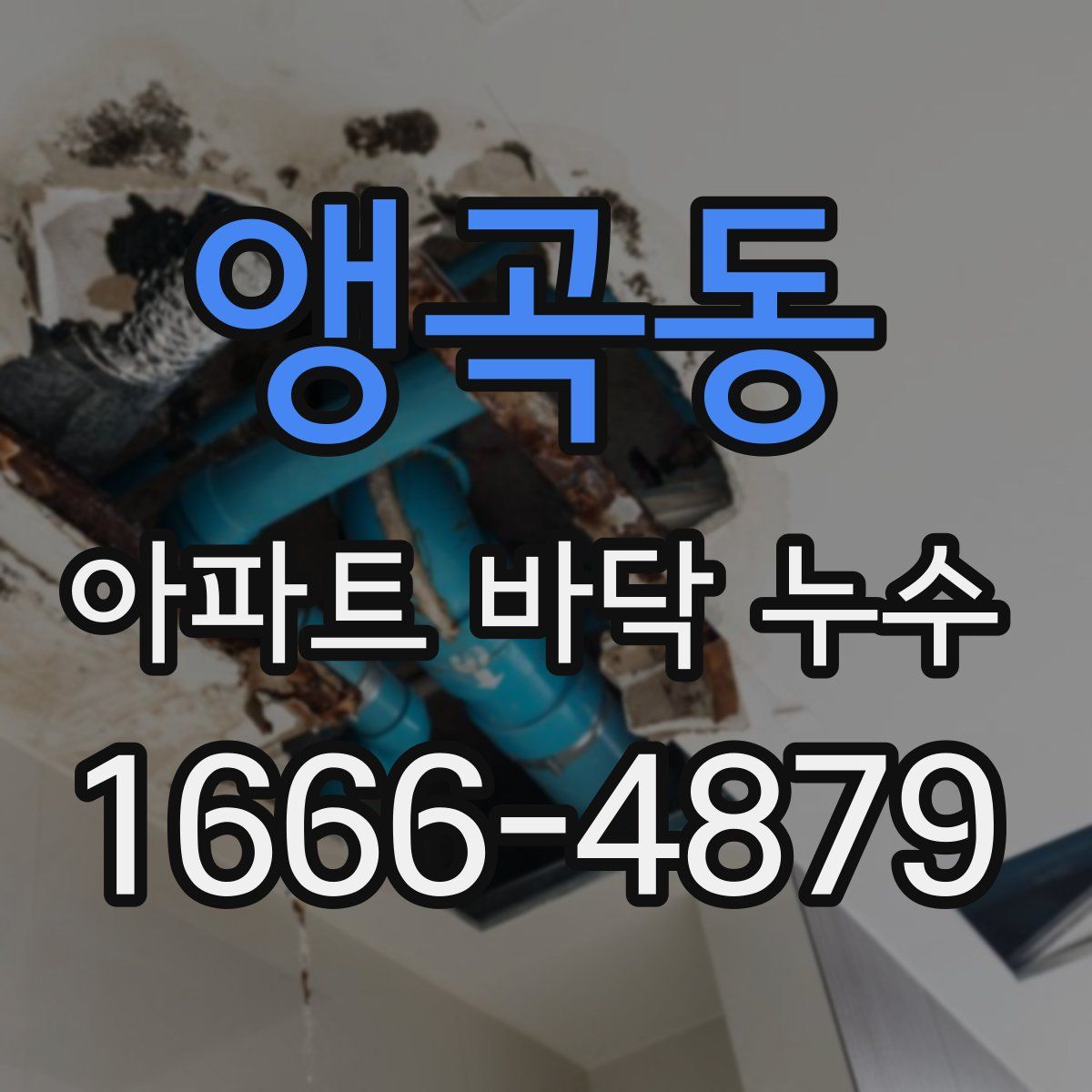 앵곡동 아파트 바닥 누수